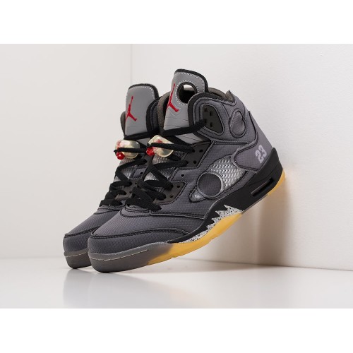 Кроссовки NIKE Air JORDAN 5 цвет Серый арт. 23048