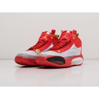 Кроссовки NIKE Air JORDAN XXXIV цвет Красный арт. 23483