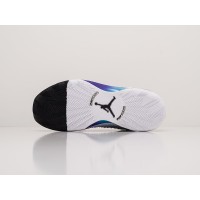 Кроссовки NIKE Air JORDAN XXXV цвет Белый арт. 23404