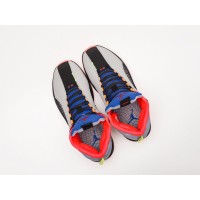 Кроссовки NIKE Air JORDAN XXXV цвет Серый арт. 24356