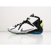 Кроссовки NIKE Lebron 12 цвет Белый арт. 39042