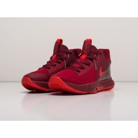 Кроссовки NIKE Lebron Witness V цвет Красный арт. 23533