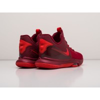 Кроссовки NIKE Lebron Witness V цвет Красный арт. 23533