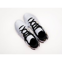 Кроссовки NIKE Lebron Witness VII цвет Белый арт. 37331