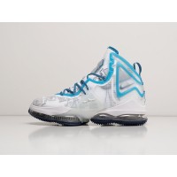 Кроссовки NIKE Lebron XIX цвет Белый арт. 30004