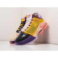 Кроссовки NIKE Lebron XIX Low цвет Разноцветный арт. 37103