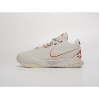 Кроссовки NIKE Lebron XXI цвет Белый арт. 40408