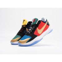 Кроссовки UNDEFEATED x NIKE Kobe 5 Protro цвет Разноцветный арт. 40021