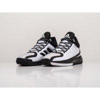 Кроссовки ADIDAS D Rose 11 цвет Белый арт. 23054