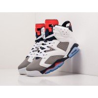 Кроссовки NIKE Air JORDAN 6 цвет Белый арт. 24491