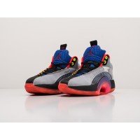 Кроссовки NIKE Air JORDAN XXXV цвет Серый арт. 23267