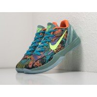 Кроссовки NIKE Kobe 6 цвет Разноцветный арт. 32510