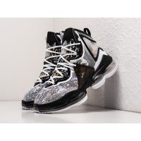 Кроссовки NIKE Lebron XIX цвет Белый арт. 30456