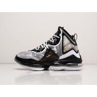 Кроссовки NIKE Lebron XIX цвет Белый арт. 30456