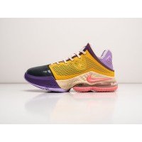 Кроссовки NIKE Lebron XIX Low цвет Разноцветный арт. 37103