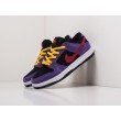 Кроссовки NIKE SB Dunk Low цвет Фиолетовый арт. 22667