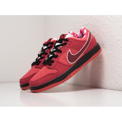 Кроссовки NIKE SB Dunk Low цвет Оранжевый арт. 34170