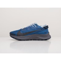 Кроссовки NIKE Pegasus Trail 2 цвет Серый арт. 25534