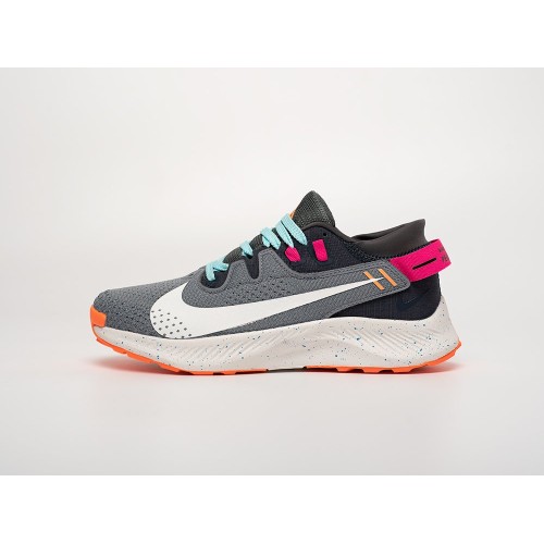 Кроссовки NIKE Pegasus Trail 2 цвет Серый арт. 40971