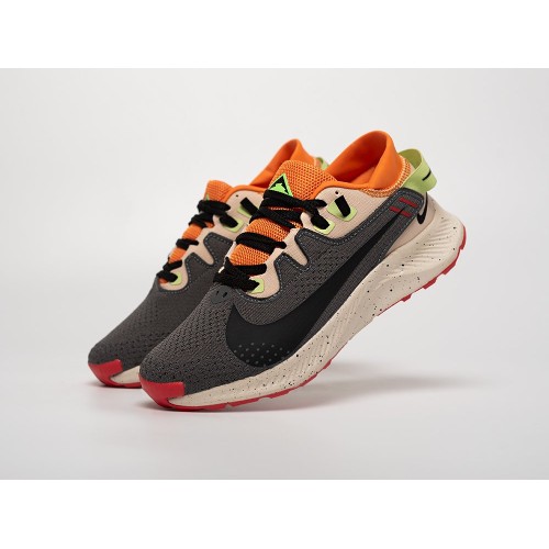 Кроссовки NIKE Pegasus Trail 2 цвет Серый арт. 40975