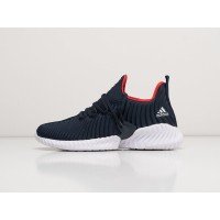 Кроссовки ADIDAS Alphabounce Instinct цвет Синий арт. 28565