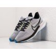 Кроссовки NIKE Air Zoom Pegasus 39 цвет Серый арт. 29356