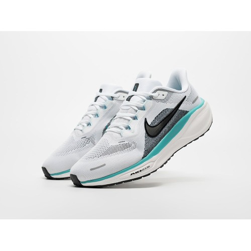 Кроссовки NIKE Air Zoom Pegasus 41 цвет Белый арт. 43208