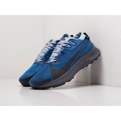 Кроссовки NIKE Pegasus Trail 2 цвет Серый арт. 25534