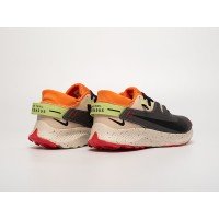 Кроссовки NIKE Pegasus Trail 2 цвет Серый арт. 40968