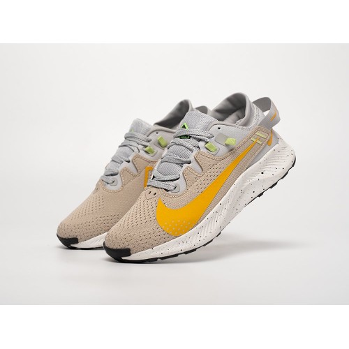 Кроссовки NIKE Pegasus Trail 2 цвет Серый арт. 40969