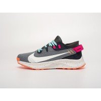 Кроссовки NIKE Pegasus Trail 2 цвет Серый арт. 40971