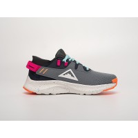 Кроссовки NIKE Pegasus Trail 2 цвет Серый арт. 40971