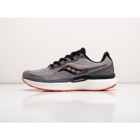 Кроссовки Saucony Triumph 19 цвет Серый арт. 35001