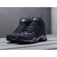 Зимние Ботинки ADIDAS Terrex Winter цвет Синий арт. 12485