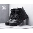 Зимние Ботинки ADIDAS Terrex Winter цвет Черный арт. 12495