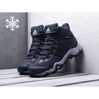 Зимние Ботинки ADIDAS Terrex Winter цвет Синий арт. 12485