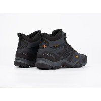 Зимние Ботинки ADIDAS Terrex Winter цвет Серый арт. 43802