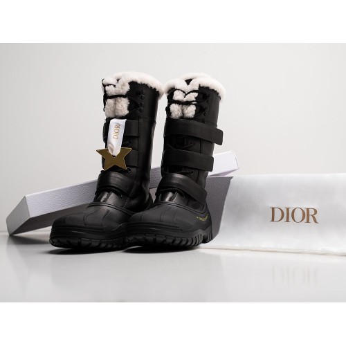 Зимние Ботинки DIOR D Venture Leather цвет Черный арт. 33954