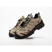 Ботинки SALOMON XA Forces GTX цвет Бежевый арт. 43469