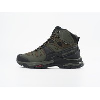 Зимние Ботинки SALOMON Quest 4 GTX цвет Серый арт. 43895