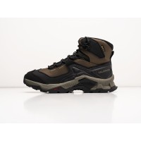 Зимние Ботинки SALOMON Quest Element GTX цвет Коричневый арт. 38620