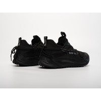 Кроссовки NIKE ACG Art Terra Antarktik Low цвет Черный арт. 42972