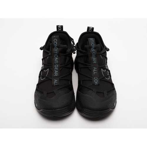 Кроссовки NIKE ACG Art Terra Antarktik Low цвет Черный арт. 42972