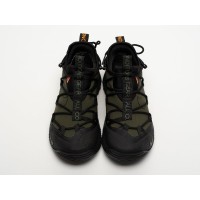 Кроссовки NIKE ACG Art Terra Antarktik Low цвет Зеленый арт. 42975