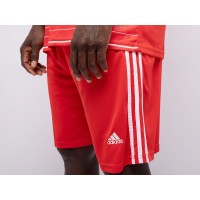 Футбольная форма ADIDAS FC Bayern Munchen цвет Красный арт. 34848