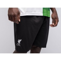 Футбольная форма NIKE FC Liverpool цвет Разноцветный арт. 39649