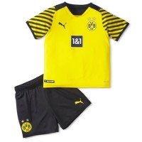 Футбольная форма PUMA FC BVB цвет Желтый арт. 27148