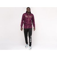 Спортивный костюм NIKE Air JORDAN FC PSG цвет Бордовый арт. 22484