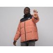 Куртка THE NORTH FACE x GUCCI цвет Коричневый арт. 25740