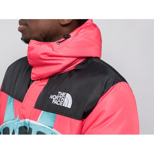 Куртка зимняя THE NORTH FACE x Supreme цвет Красный арт. 31454